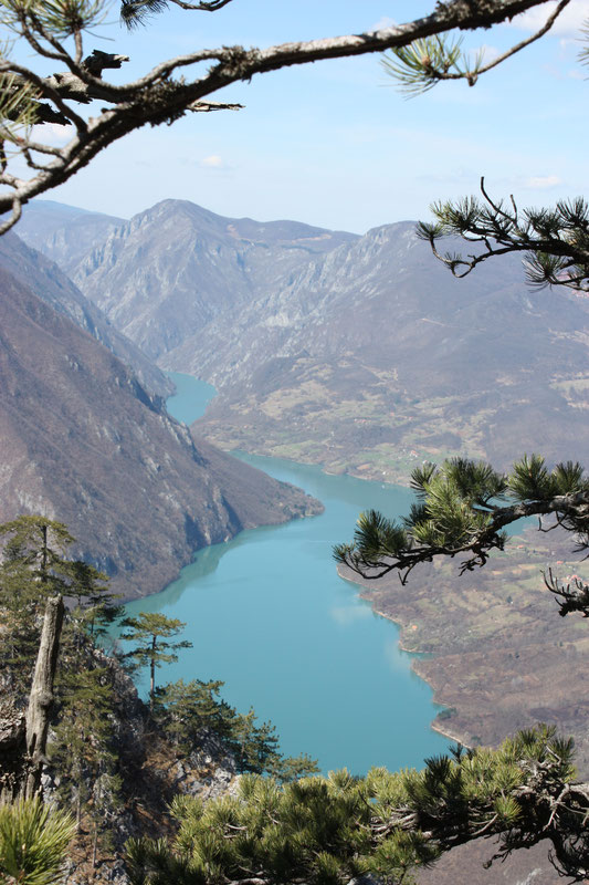 Drina (Perućac) sa vidikovca Banjska Stena, NP Tara