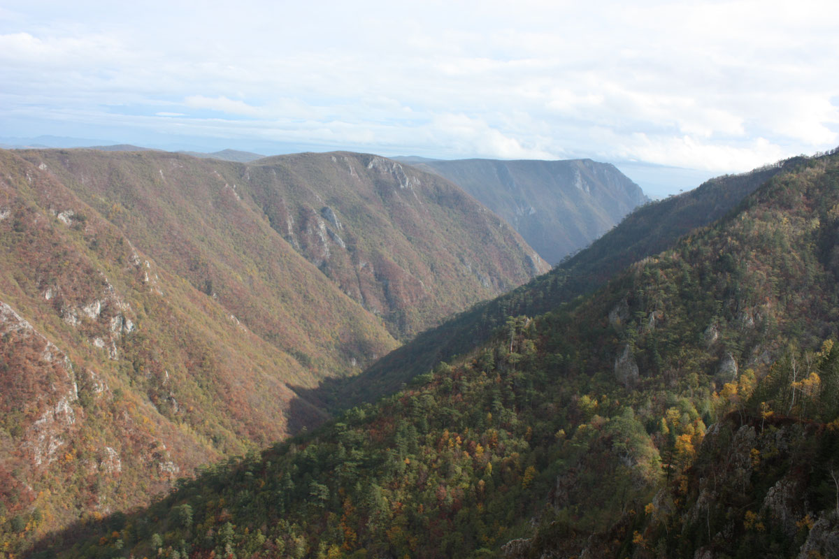 Klisura Crnog potoka sa Šarene bukve