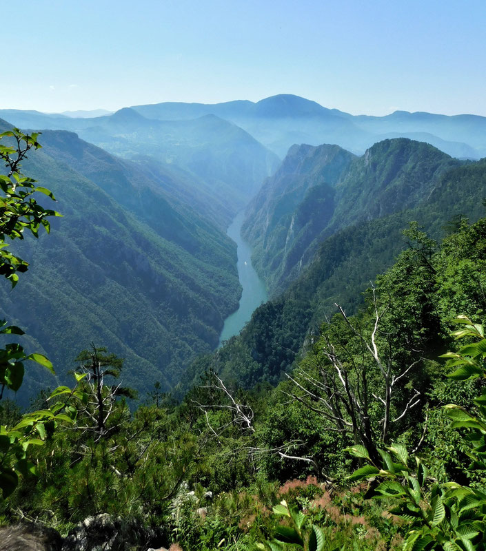 Drina sa vidikovca Grad, pogled ka jugu