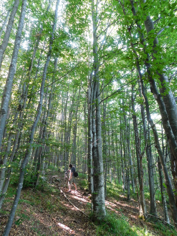 Prema vidikovcu Grad