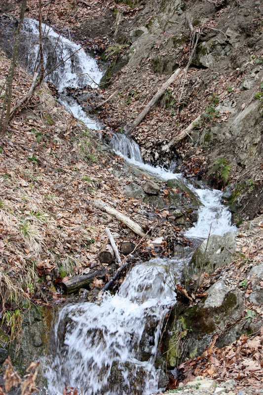 Desna pritoka Starenice tokom vlažnijeg dijela godine