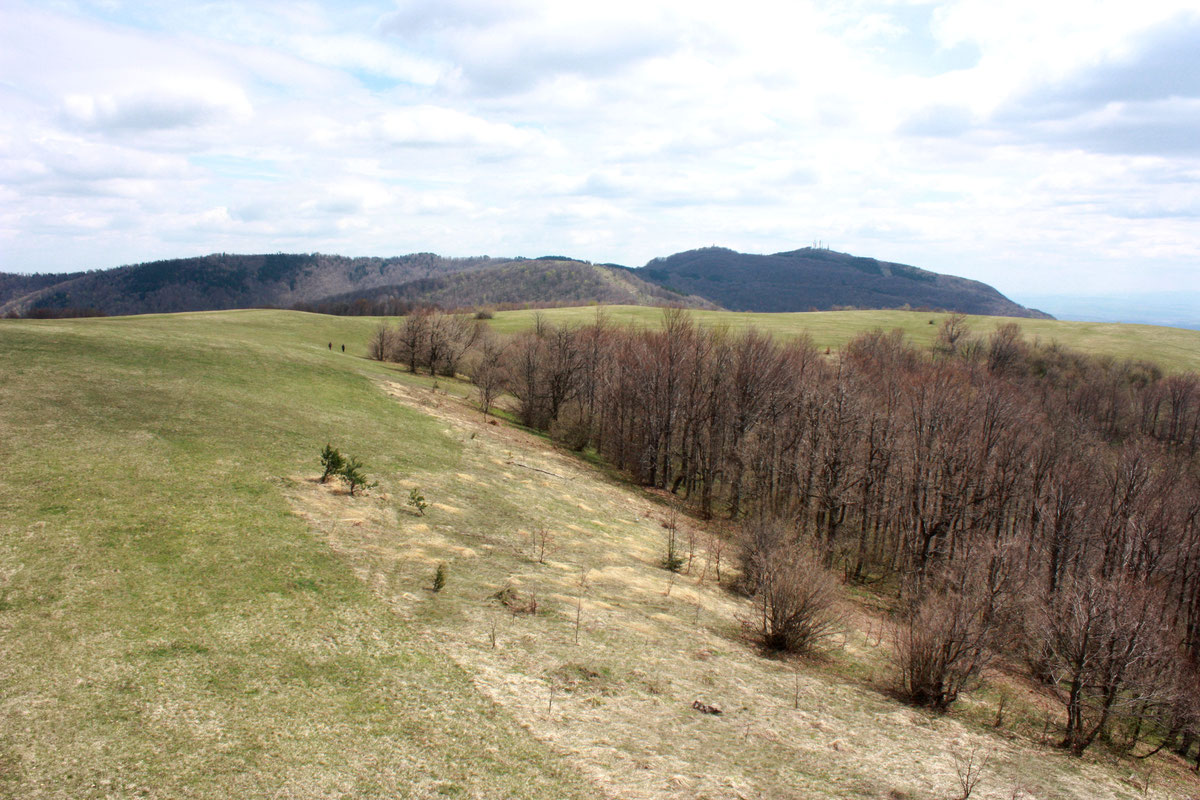 Gola planina i najviši vrh Kozare Lisina (u dubini desno)
