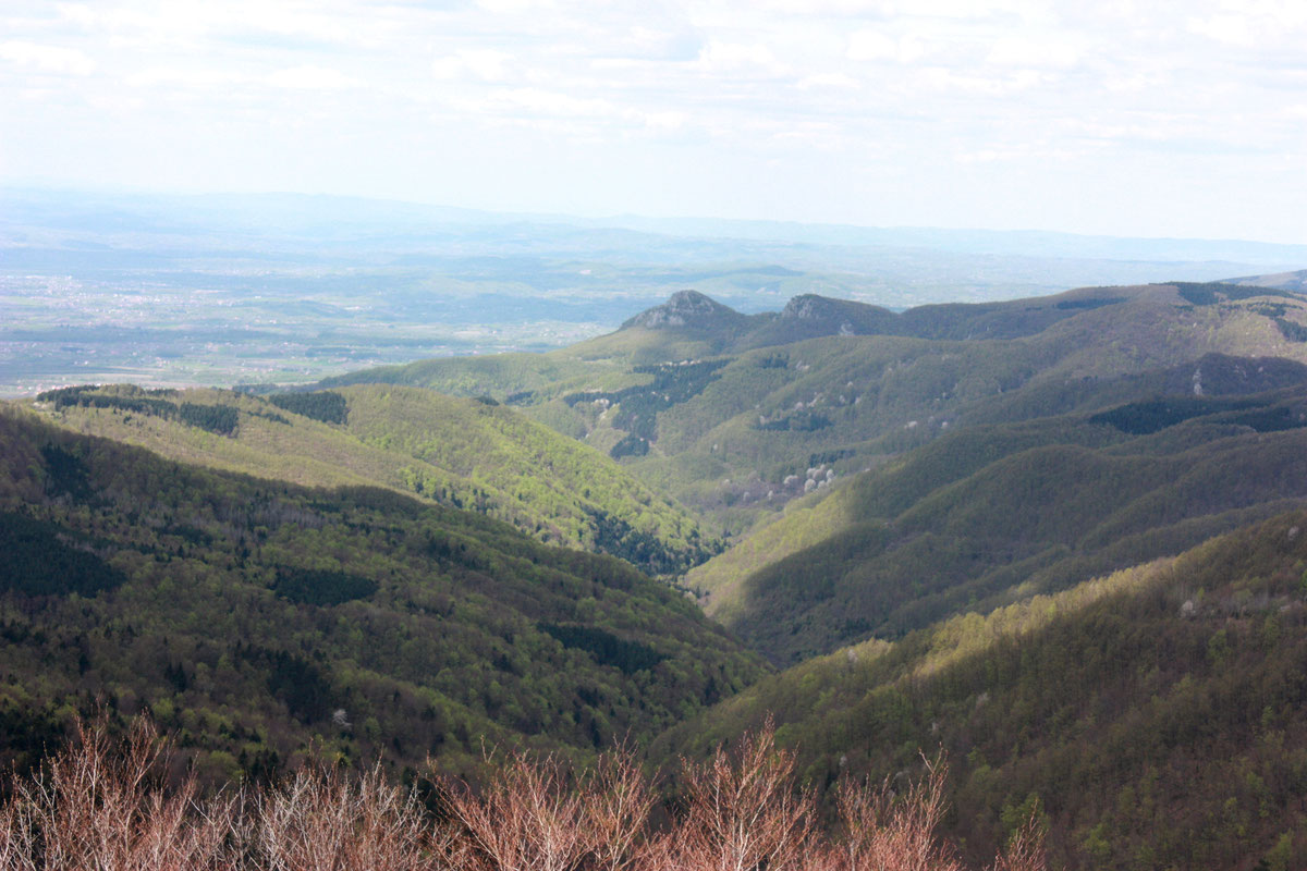 Kozarački i Zečji kamen sa Gole planine i hidrografska mreža Starenice