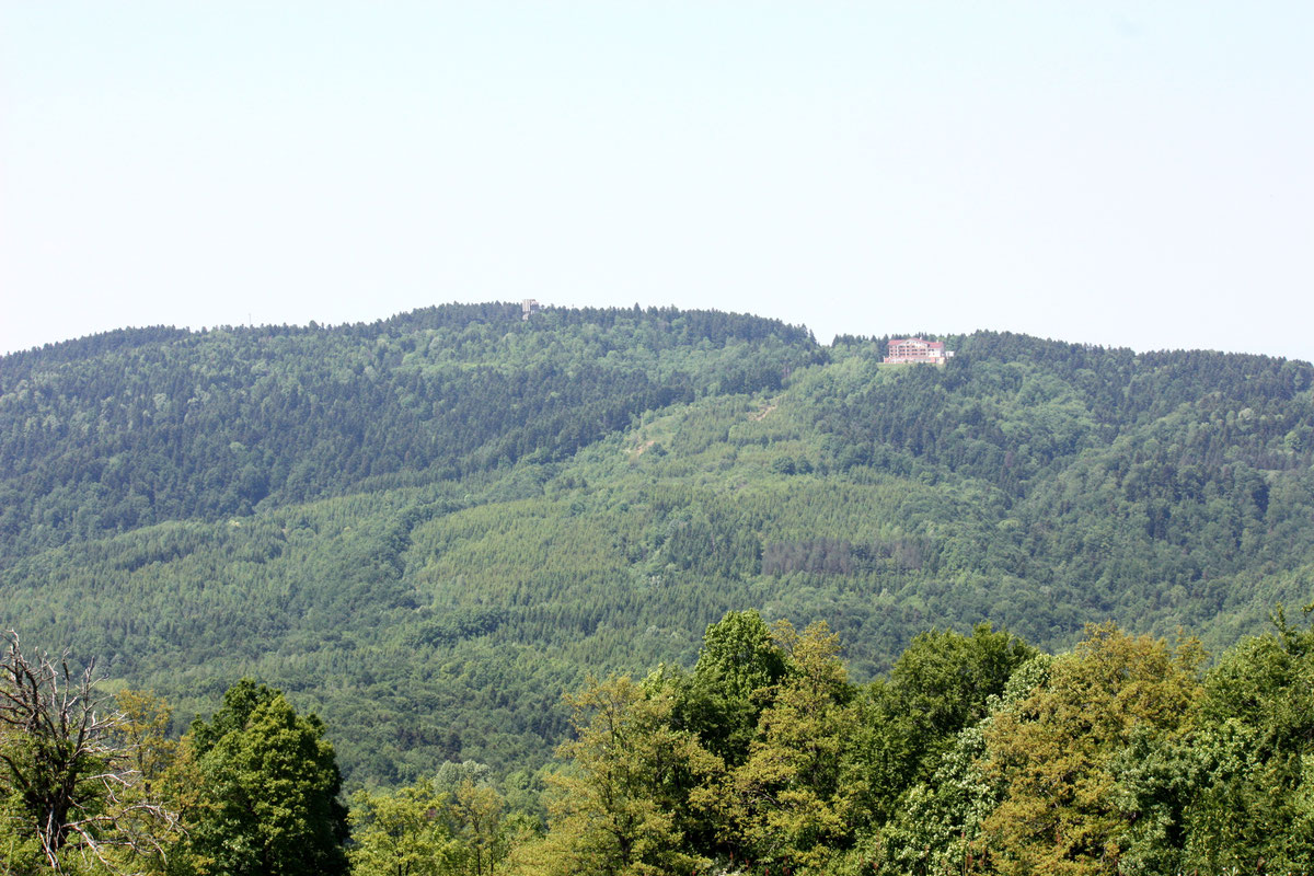 Mrakovica sa Gole planine