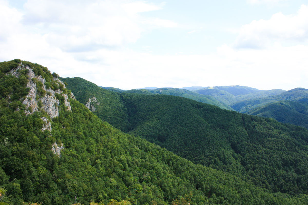 Masiv Kozare sa Kozaračkog kamena