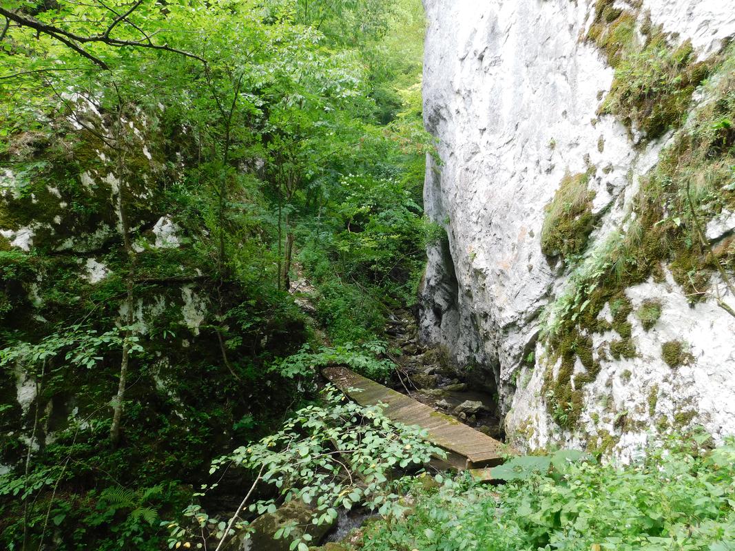Potok Bijele vode, Gumline
