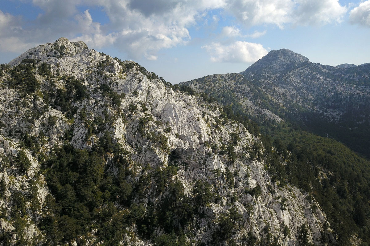 Krečnjački vrhovi Orjena