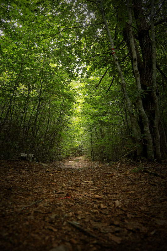 Staza ka Dobrom dolu