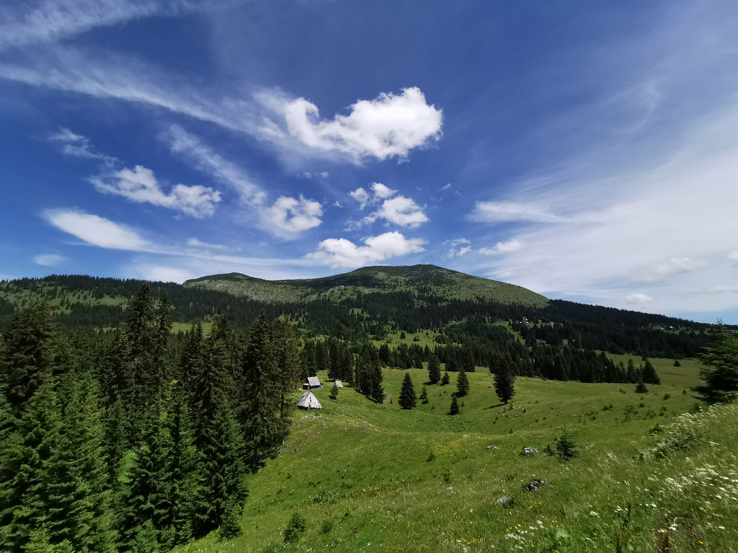Ljubišnja iz Konjskog polja, najviši vrh Dernjačišta i vrh Mala Ljubišnja (lijevo)