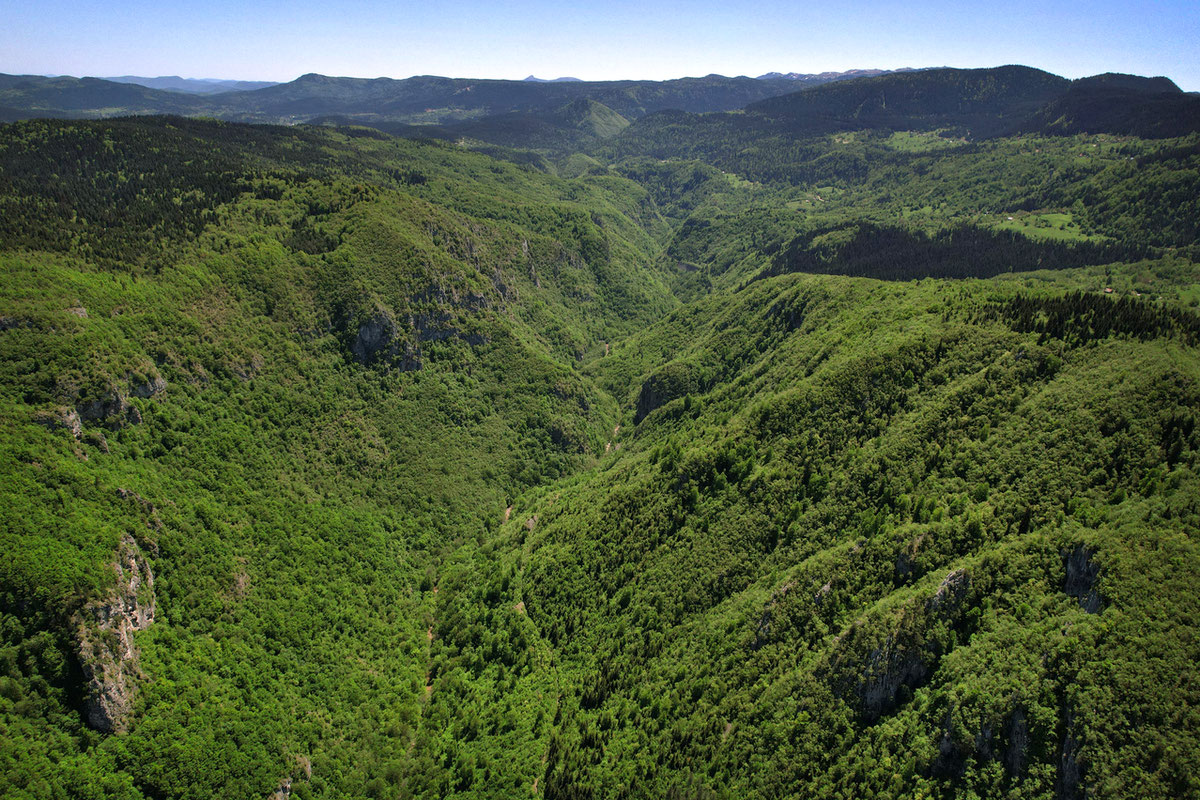 Klisurasta dolina Paljanske Miljacke