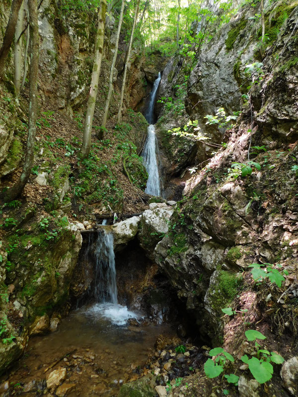 Lijeva pritoka Palj. Miljacke, kod Dovlića