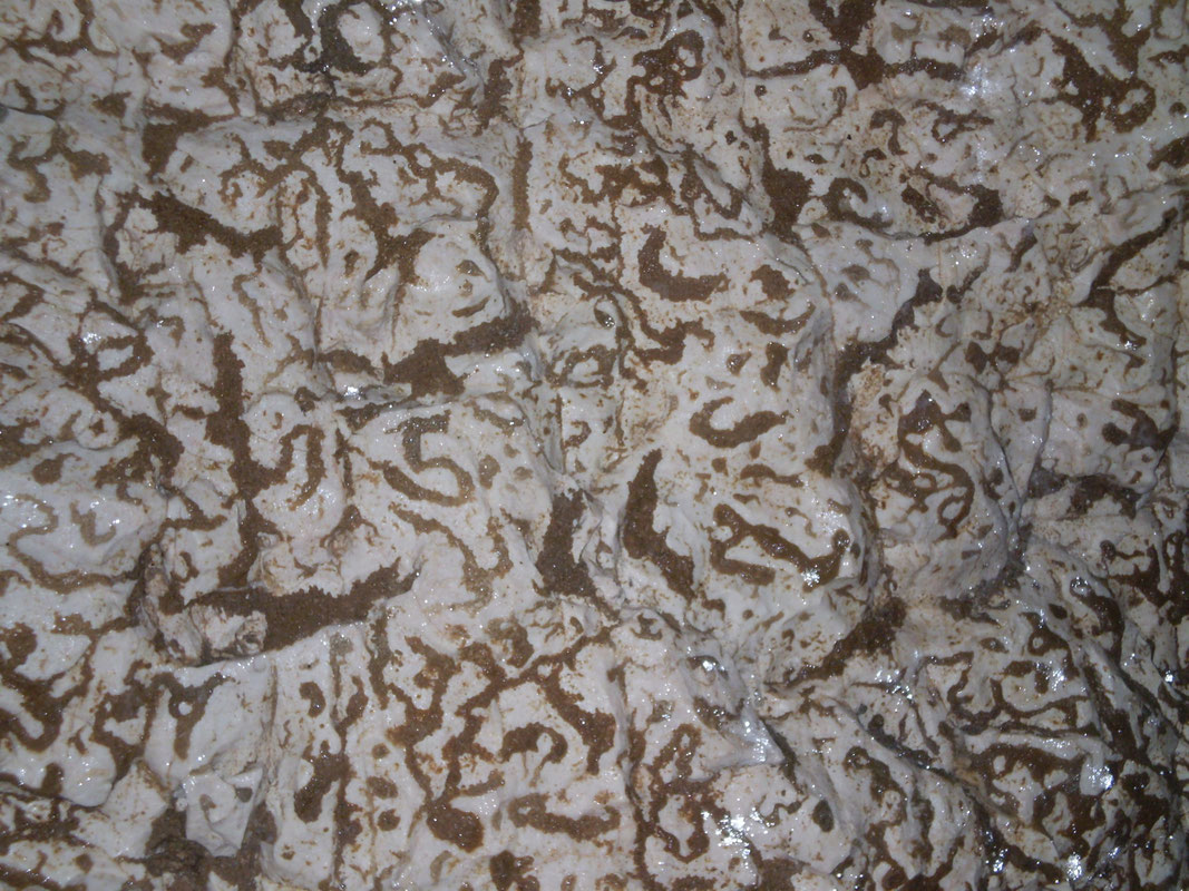 Specifične šare - "pećinski hijeroglifi"