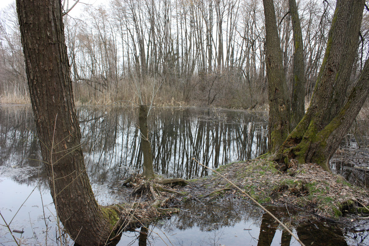 Laketića vir za vrijeme višeg vodostaja